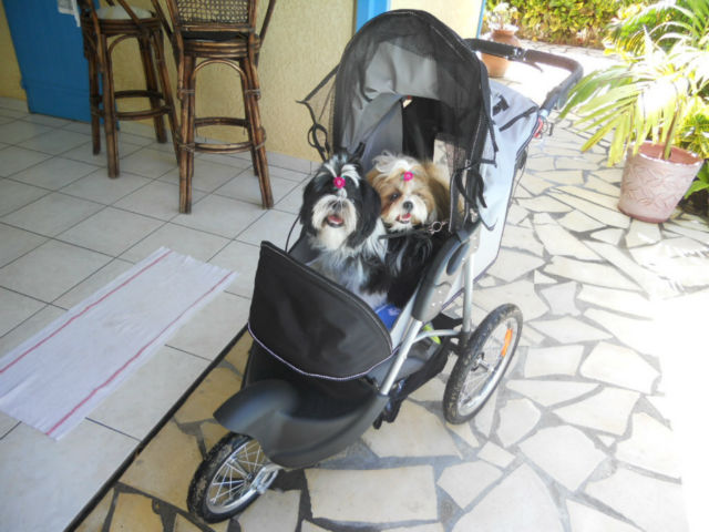 poussette pour chien tout terrain